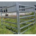 Hot Dipped Galvanized Cattle Horse Panels for Racecourse Use